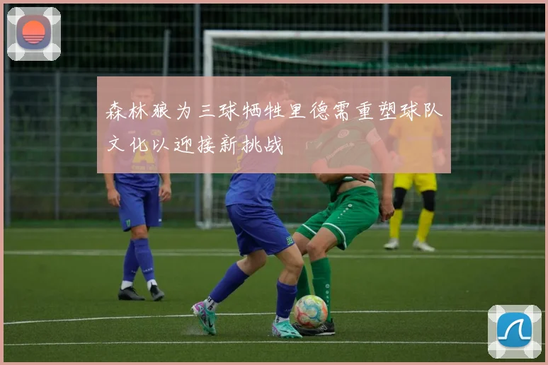 森林狼为三球牺牲里德需重塑球队文化以迎接新挑战